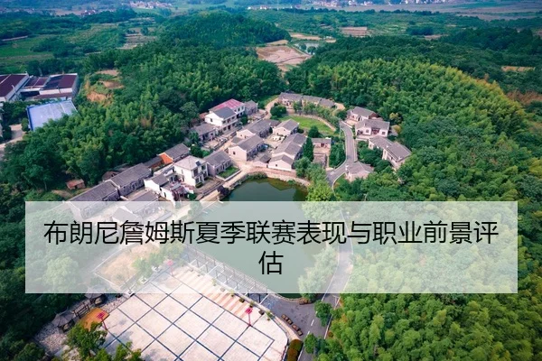 布朗尼詹姆斯夏季联赛表现与职业前景评估