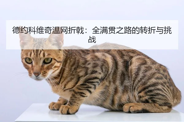德约科维奇温网折戟：全满贯之路的转折与挑战