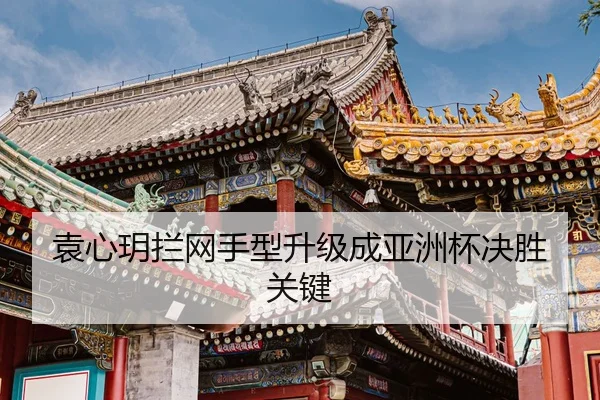 yuan-xin-yue-lan-wang-shou-xing-sheng-ji-cheng-ya-zhou-bei-jue-sheng-guan-jian-3-804.jpg