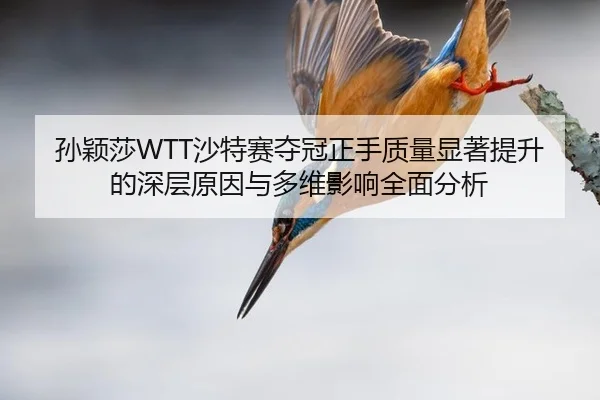 sun-ying-sha-sha-te-sai-duo-guan-zheng-shou-zhi-liang-xian-zhu-ti-sheng-de-shen-ceng-yuan-yin-yu-duo-wei-ying-xiang-3-982.jpg